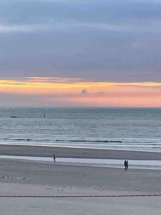 Au 154 Bis - Joli Appartement Avec Grande Terrasse Et Proche De La Plage A Malo Dunkirk Exterior photo